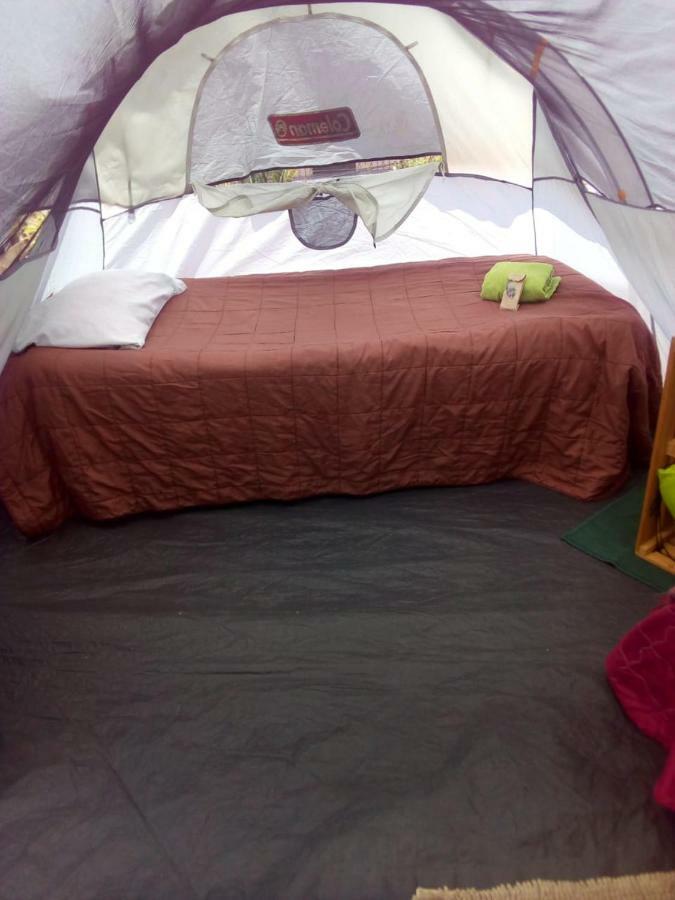 Camping & Travel Antigua Exterior foto